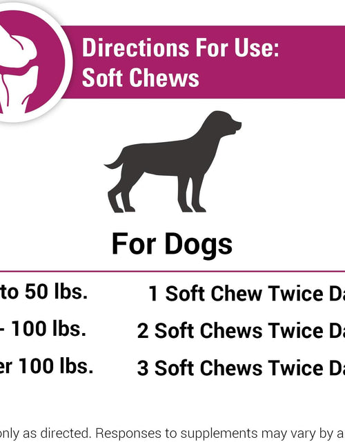 Load image into Gallery viewer, Pain plus Extra Strength Health Supplement for Dogs - 120 Soft Chews
