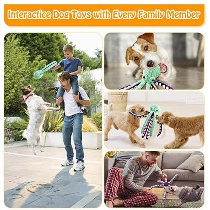 Dog Toys Squeaky