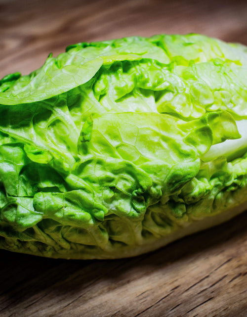 Load image into Gallery viewer, 3000 Seeds LITTLE GEM LETTUCE Small Romaine Butterhead Lactuca Vegetable Seeds

