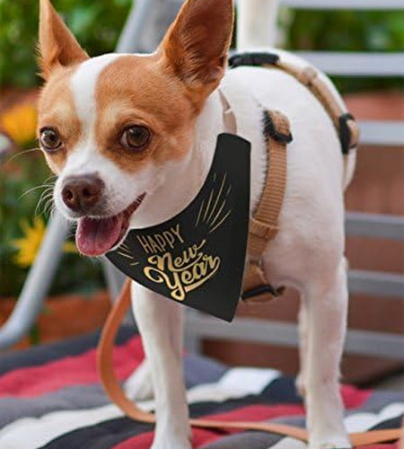 Dog New Years Costume Happy New Year Outfit for Dogs Pet Collar Scarf for Smaller Dogs New Year