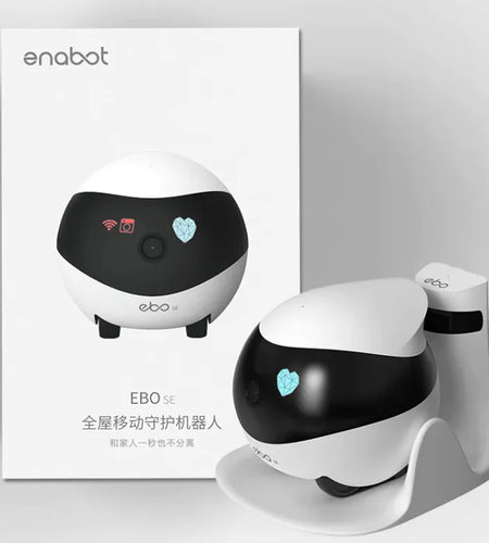 Robot Monitoring Mobile Camera