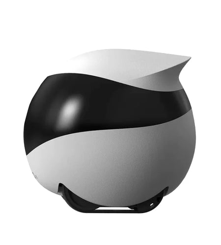 Robot Monitoring Mobile Camera